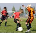 Развитие профессионального футбола и его внедрение в учебные заведения